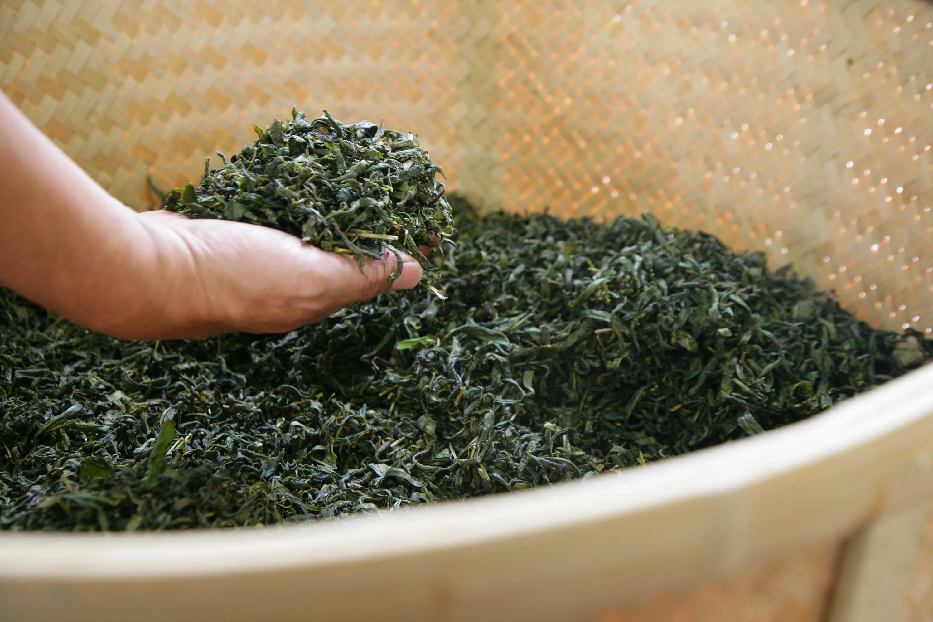 Japan lasting profound aftertaste deep-steamed fukamushi tea custom disposable teabag