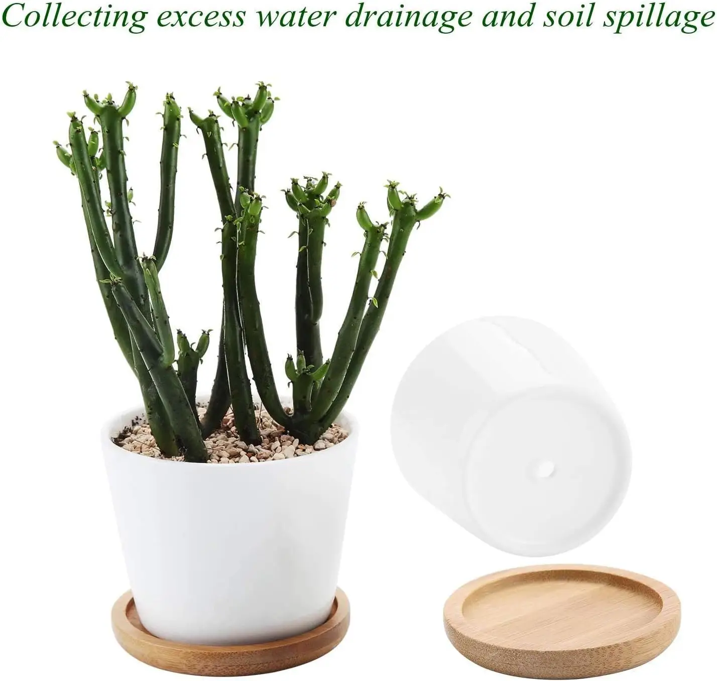 Bamboo Round Plant Saucer Edge Design Versatile Sustainable Material Sturdiness Durability Plant Tray for Indoor Outdoor Plants