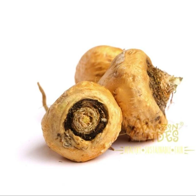 Organic Maca Root Extract Powder For Supplier With Economical Prices