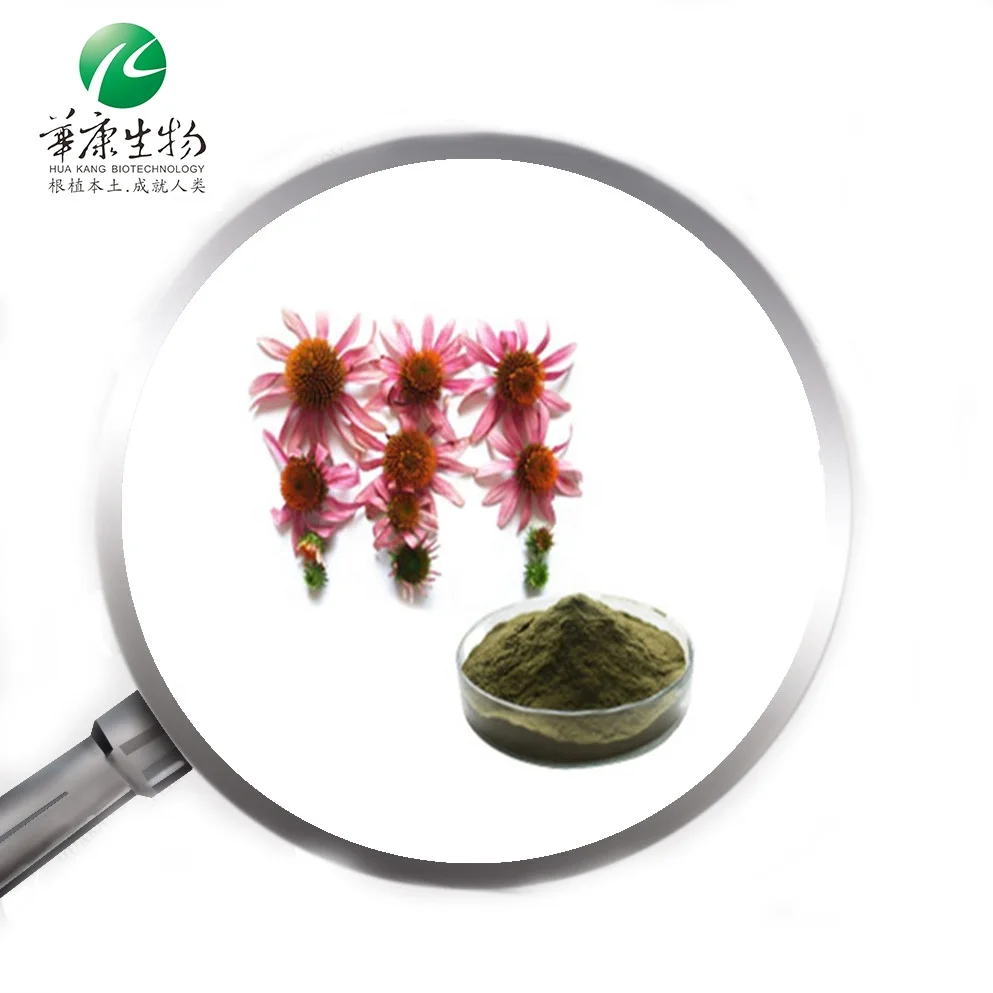Echinacea Purpurea Extract Echinacea Extract Cichoric Acid  Polyphenols  Echinacoside