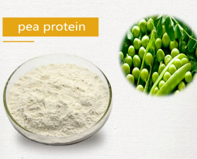 Food grade pea protein Non-Gmo organic pea protein isolate powder 80%-85% natural plant based amino acids gluten and sugar free