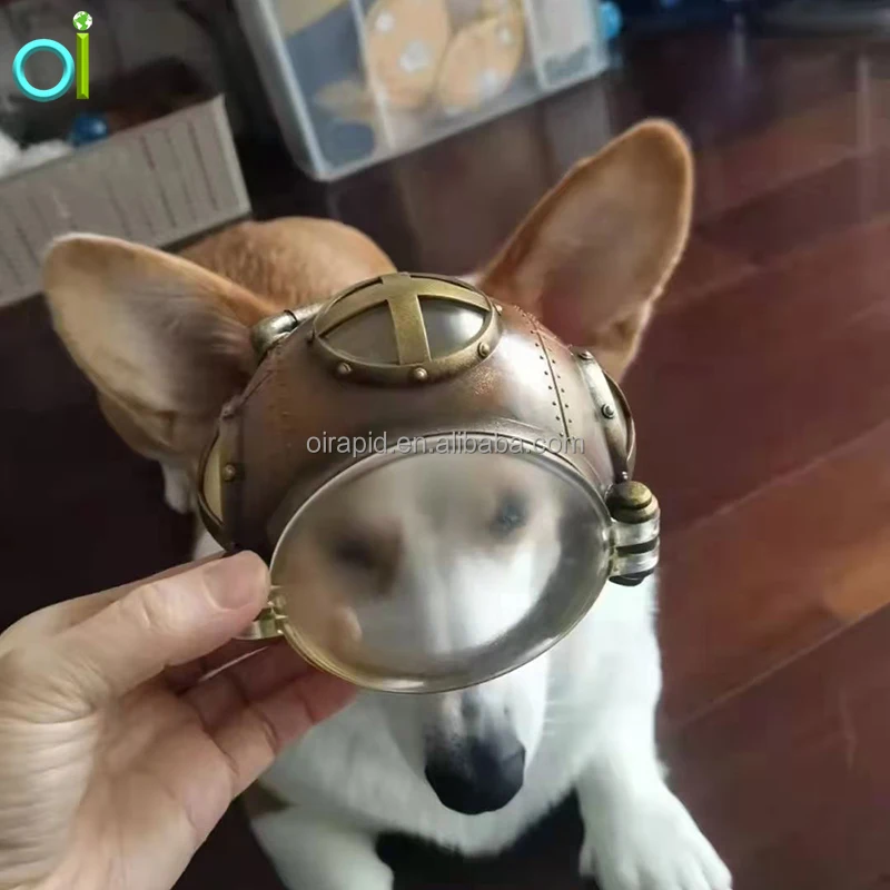 Puppy Cat Hat Helmets Small Pet Cool Fashion Plastic Outdoor Helmets Photo Props Protect Pet Accessories