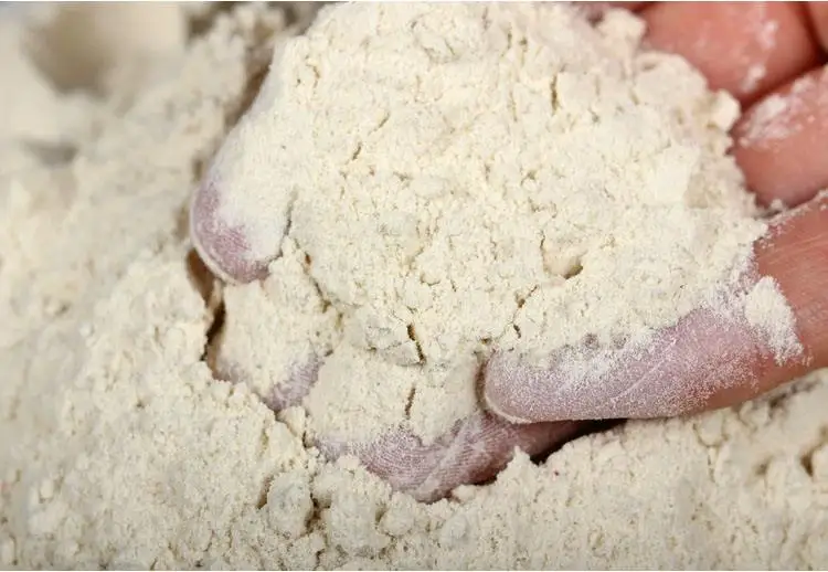 Vital Wheat Gluten CAS No.8002-80-0 Pure Nature Food Organic Hydrolyzed Halal bread making Flour Powder 25kg Price