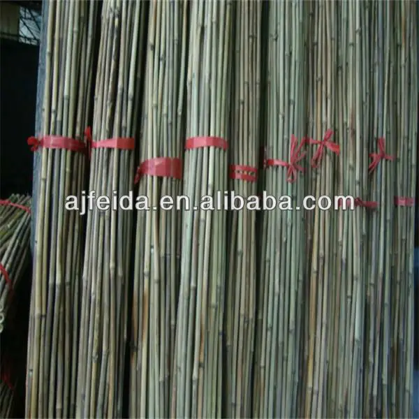 FD-Natural high-quality Bamboo poles sale