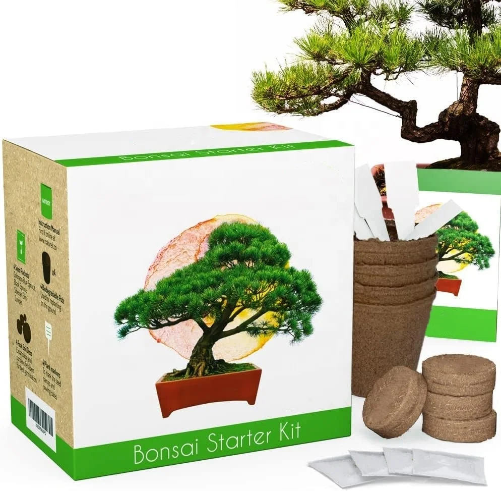 Bonsai Tree Kit for Starters Bonsai Tree Propagation with Nutrition Soil Disk Customizable