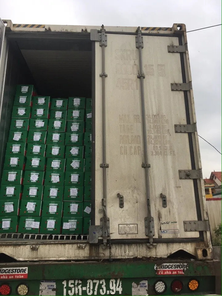 Свежий урожай моркови Вьетнам Быстрая доставка