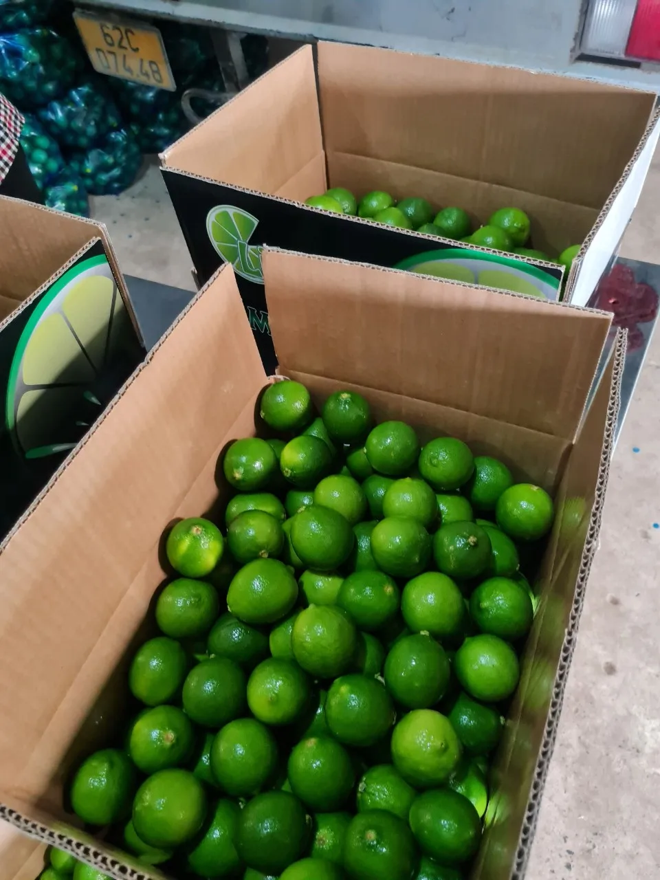 Rich Quality Wholesale Fresh Green Lemons at Bulk Price - Whatsap Linda 0084 989 322 607