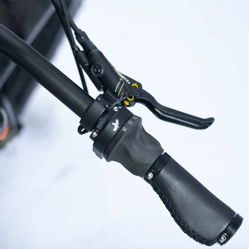 2025 md1000 Dual Batteries Electric Bikes Belt Drive Electric Bike  1000w E bike With Bafang M620 Ultra Motor