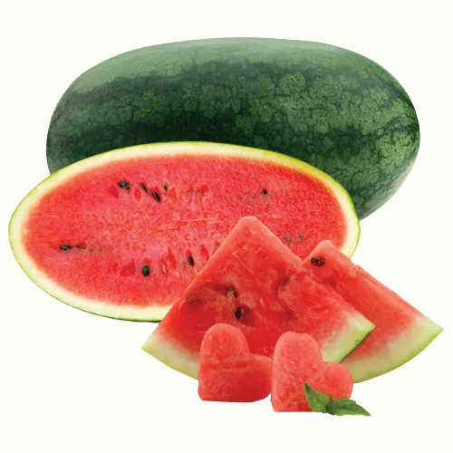 WATERMELON FRESH FRUIT/ FROM VIETNAM/ BEST CHEAP PRICE FOR YOUR CHOICE  IN 2023 FROM VIETNAM