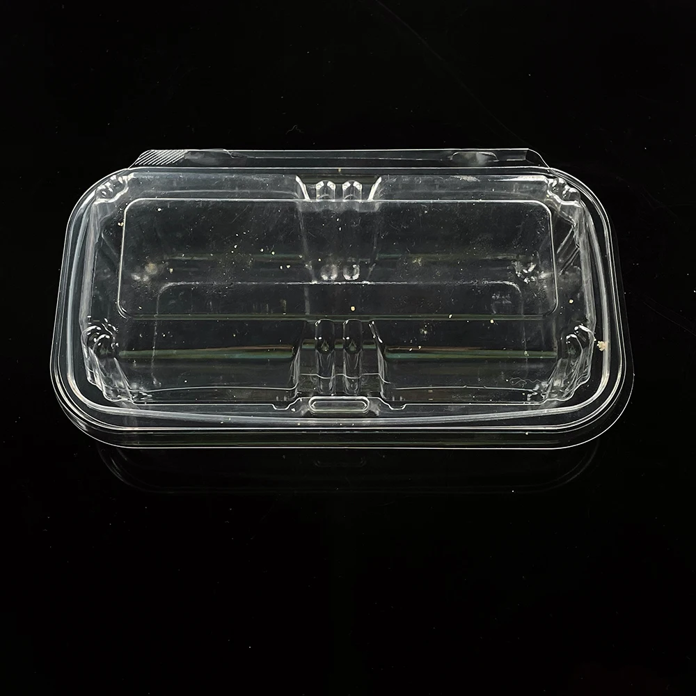 Custom plastic bread sushi boxes clear plastic containers for food fruit vegetable bakery go containers eco friendly disposable