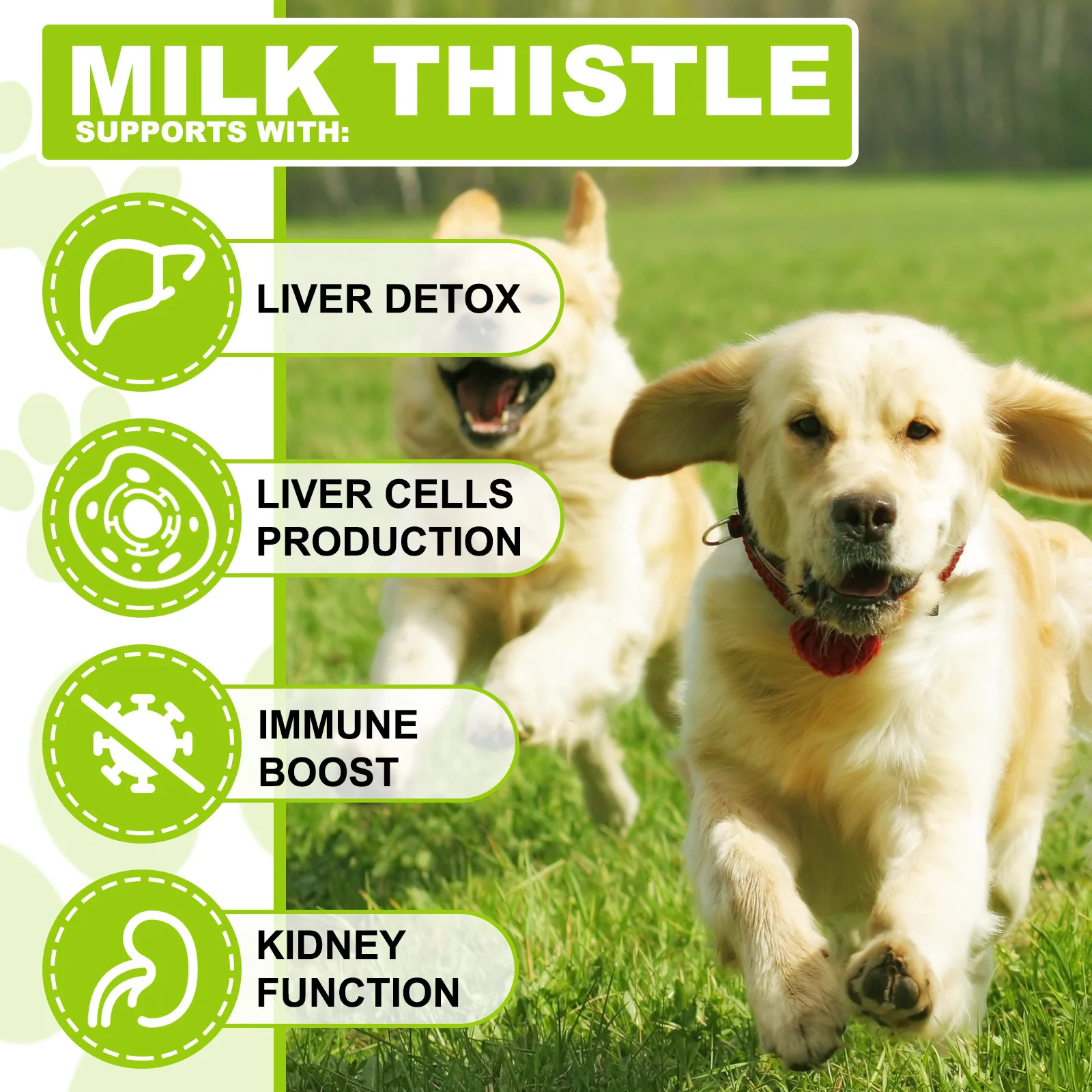 Oimmal Organic Milk Thistle Drops Herbal Supplements Extracto De Cardo Mariano Milk Thistle Extract Liquid For Dogs