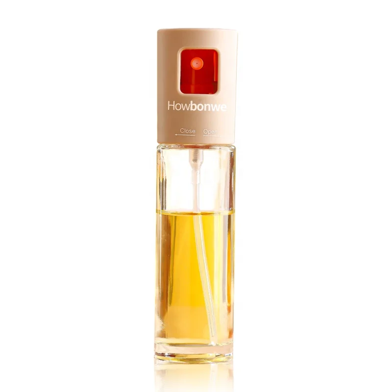 Wholesale household air frying pan edible oil olive oil high-pressure spray glass spray kettle