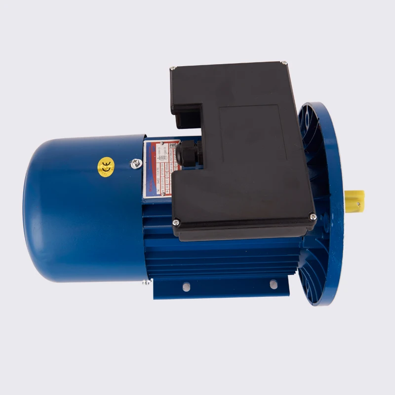 YL Series  2 HP Single Phase Induction Motor