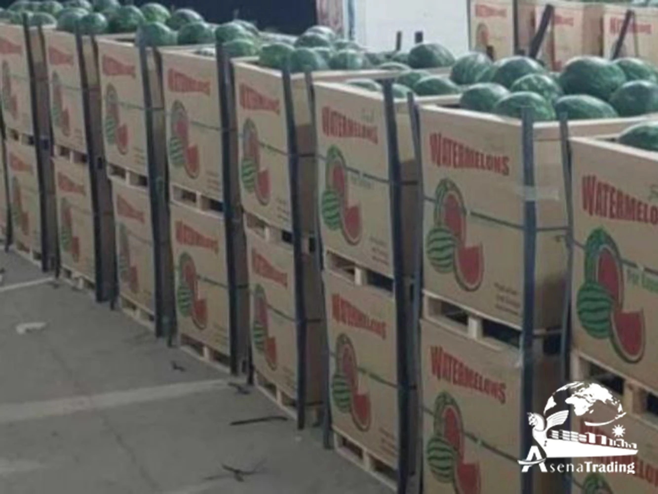 The most popular wholesale Premium Quality Box Packaging Great Fresh Sweet Juicy Natural Fresh Watermelon