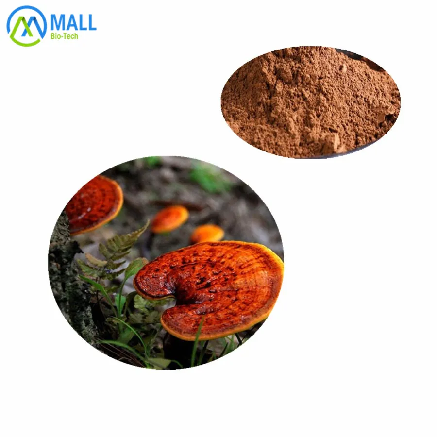 
high quality reishi mushroom extract ganoderma lucidum extract powder 