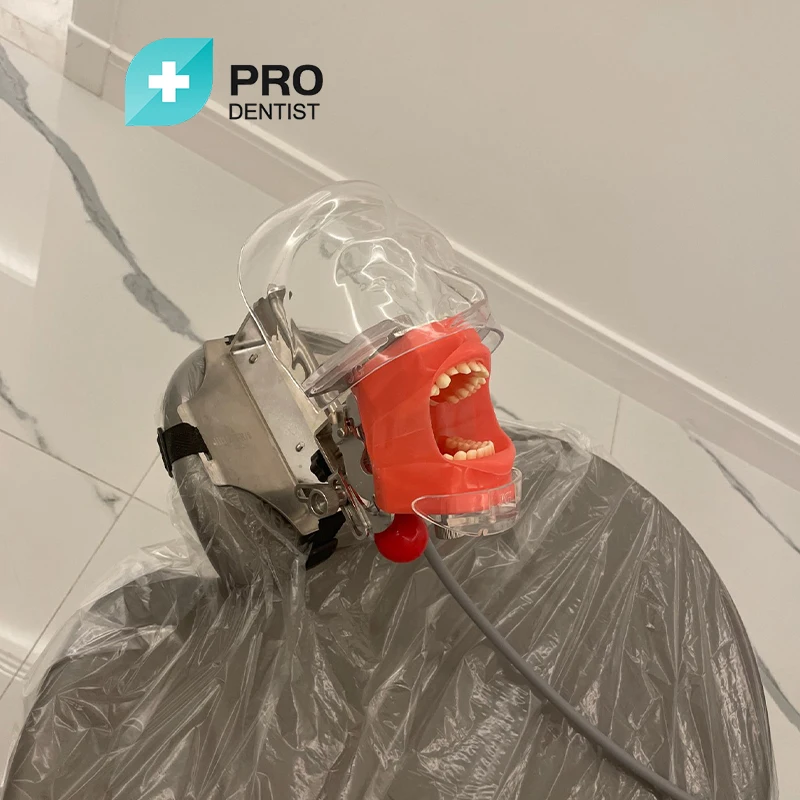 Dental Simulator Phantom Head Model for Education Dentist Training Practice