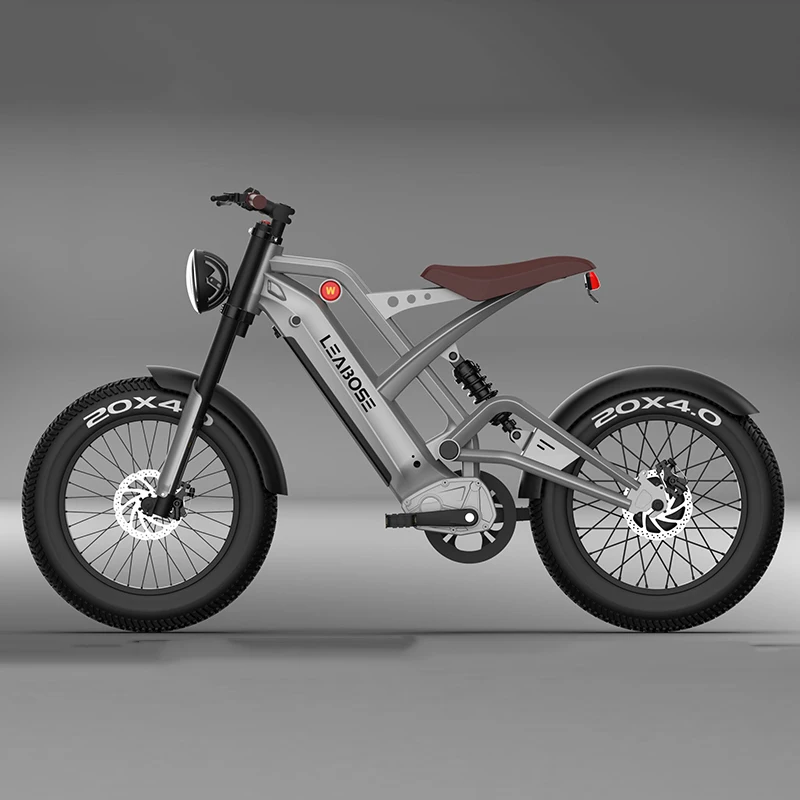 China Manufacturer 1000W 48V 15Ah Disc Brake 20 Inch Tire Battery Electric Bike Wholesale Offroad Mountain City Electric Bicycle