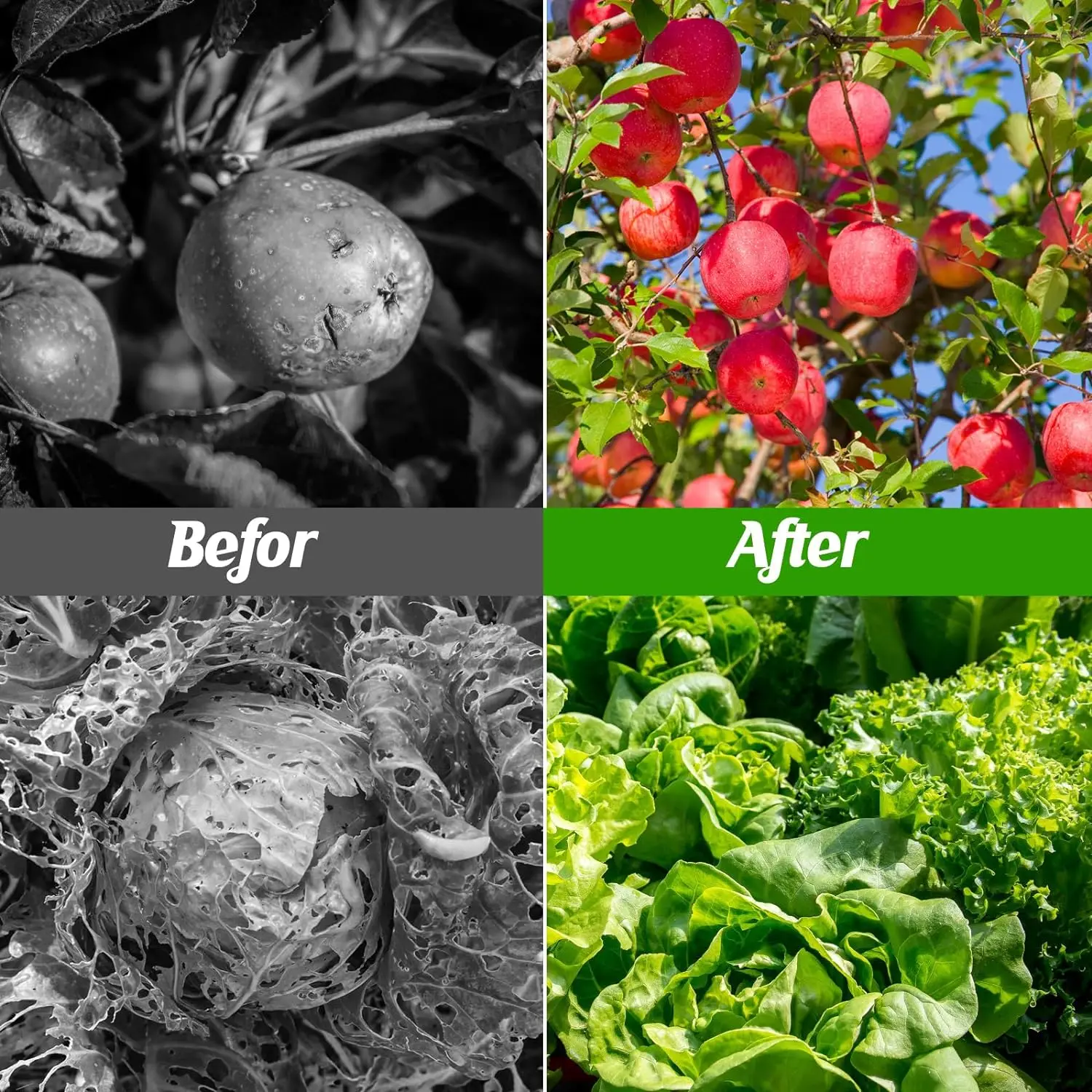 Garden poles green greenhouse frame structure tunnel greenhouse for tomato vegetables growing pipes 6PCS