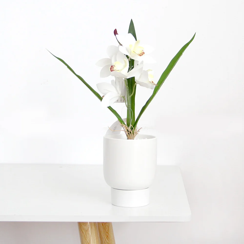 2024 New Orchids Artificial Flowers Real Touch White Orchid Flowers For Decoration Wedding Artificial & Home Decoration