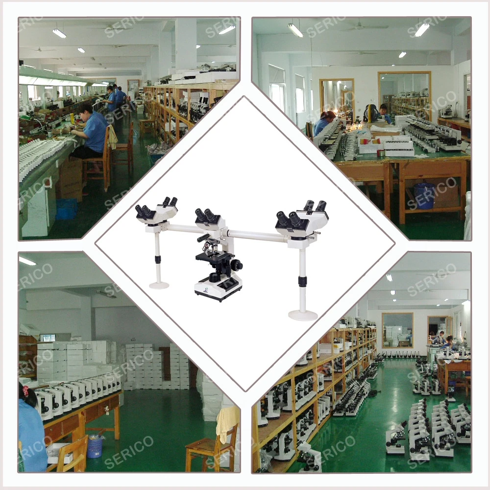 20211712 XSZ N 510-4.jpg