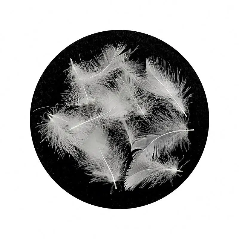  Goose Feather With Good Quality Soft Washed For Pillow Cushion