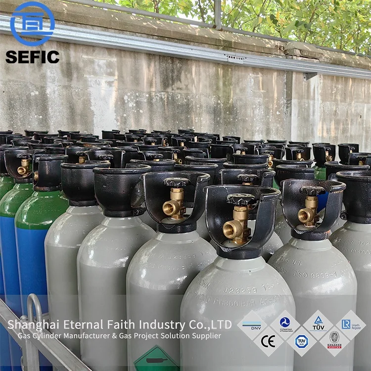 Large Size DNV Gas Cylinder 200bar Seamless Steel 45l 47l 50l 52l 60l Oxygen Nitrogen Argon Co2 Tank