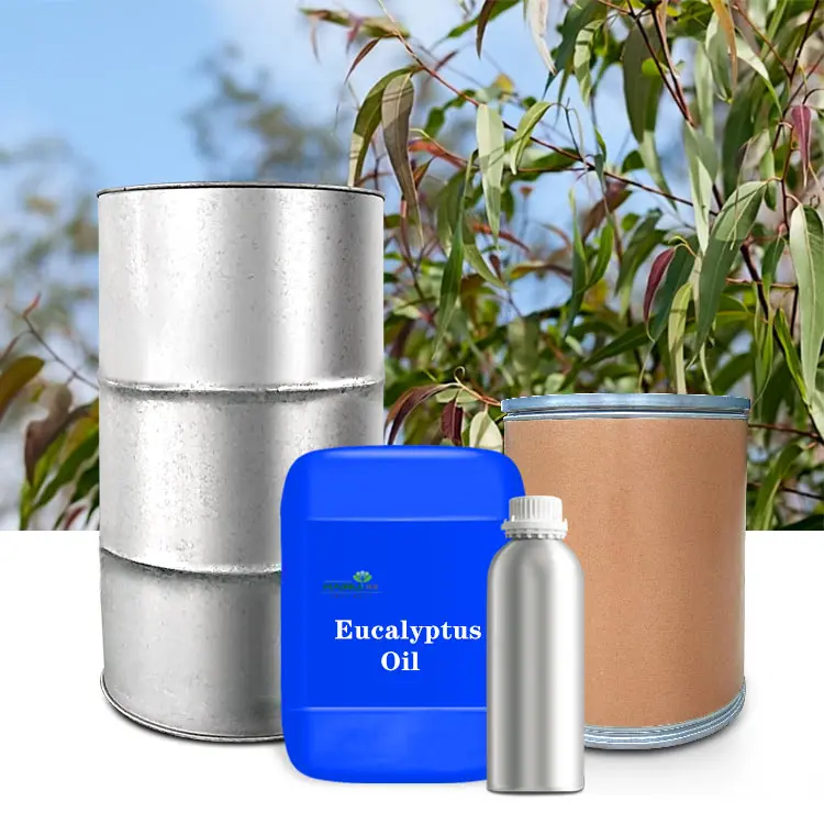 Wholesale in bulk  eucalyptus plant pure eucalyptus essential oil  food grade