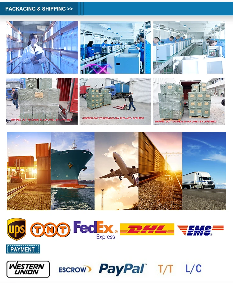 endoscope camera system