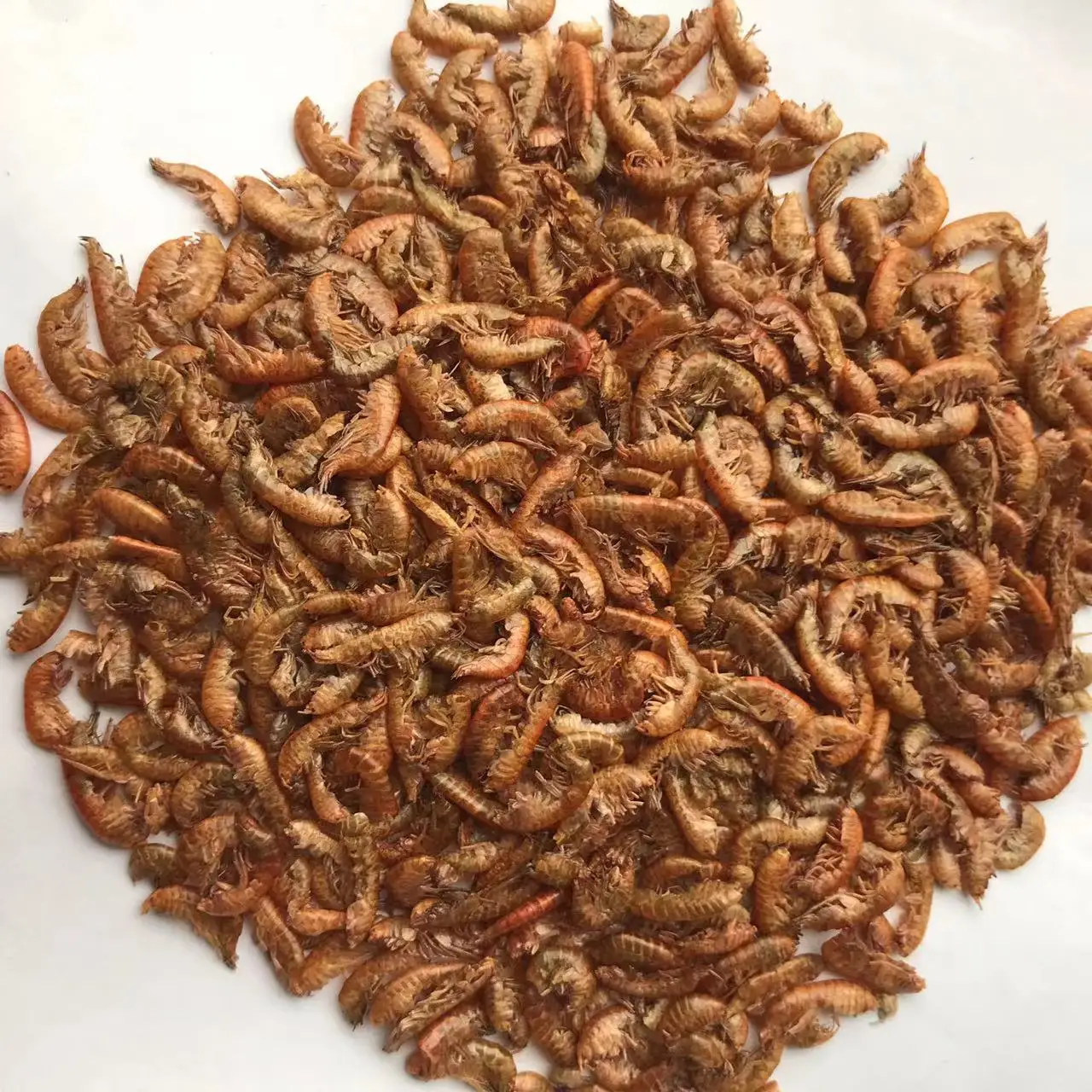 Сушеный на солнце корм для животных Gammarus рыбы и черепахи сушеные креветки