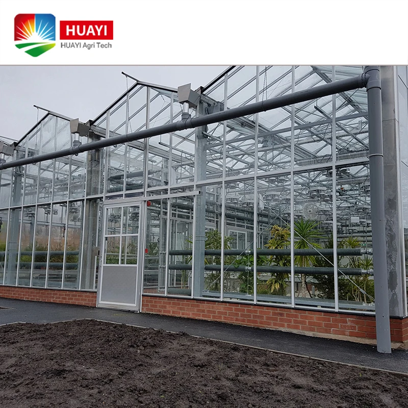 Large span commercial PC Sheet Greenhouse agriculture buy from China best price
