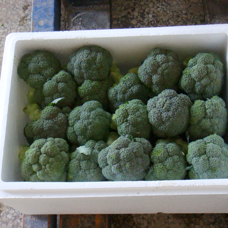 
New crop high quality bulk fresh vegetable green chinese broccoli 