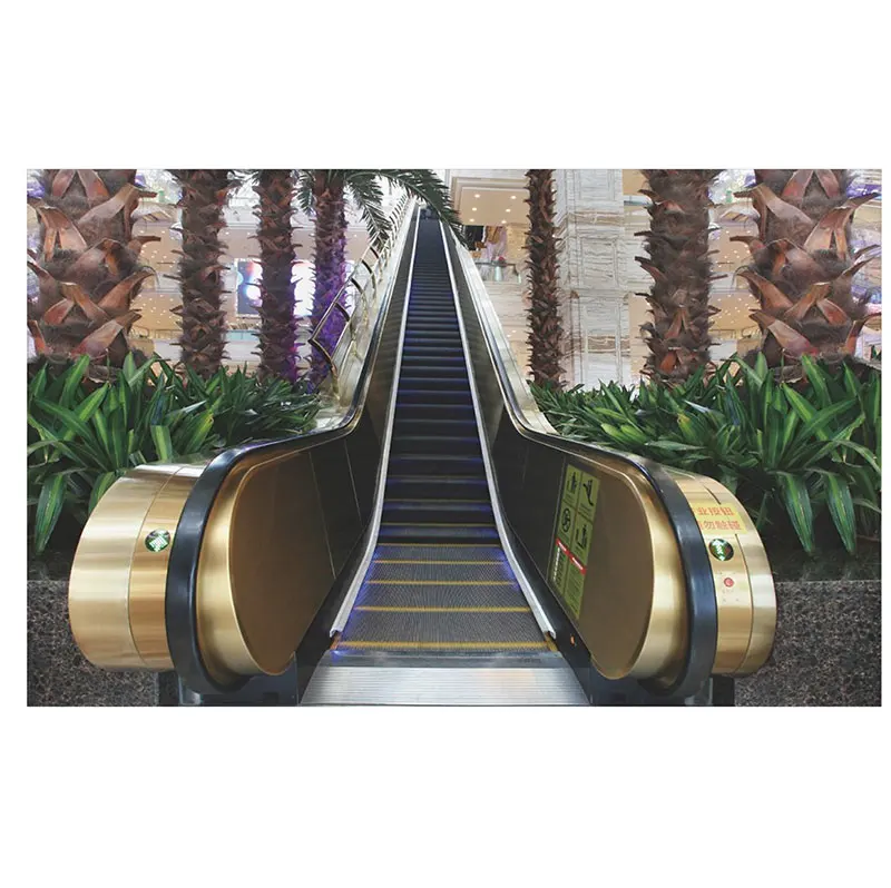 Widely Used Superior Quality Automatic Indoor Outdoor 35 Degrees Escalator