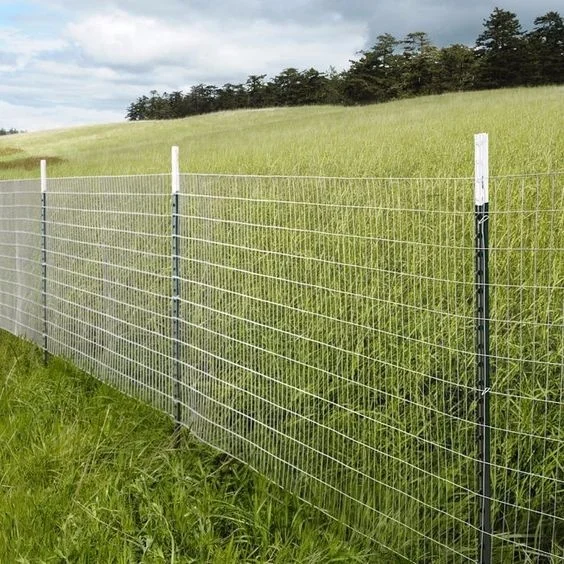 Galvanized Y Post Star Picket 2.0m 1.25lbs/ft Heavy Duty Studded Y Post with Spade and Studs for Customized 6 ft 7 ft 8 ft 9 ft
