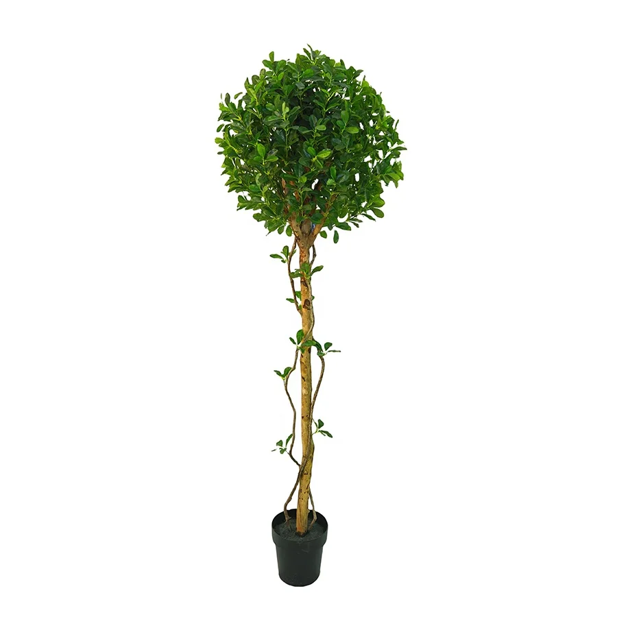 6FT Indoor Decoration Fake Laurel Leaves Round Ball Green Potted Plant Artificial Sweet Bay Ball Tree