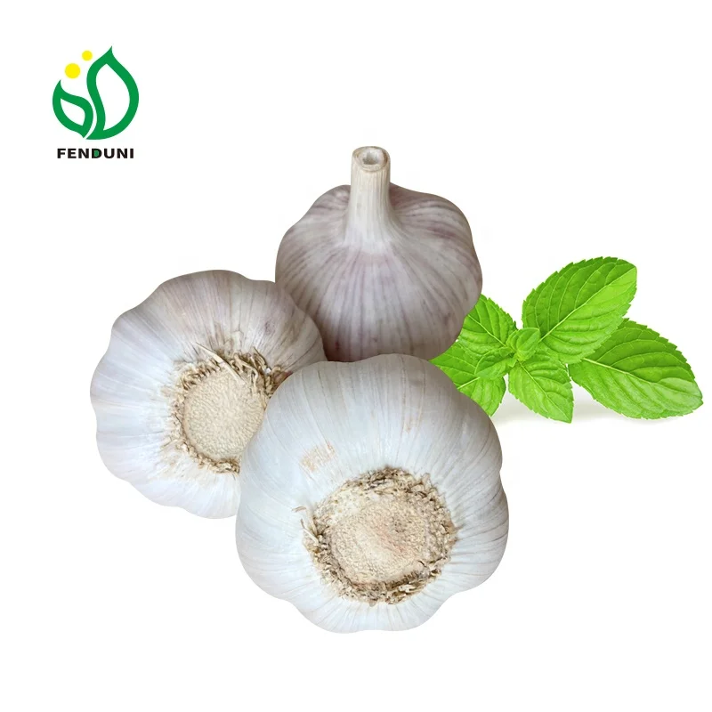 
China Fresh Natural Garlic Price 