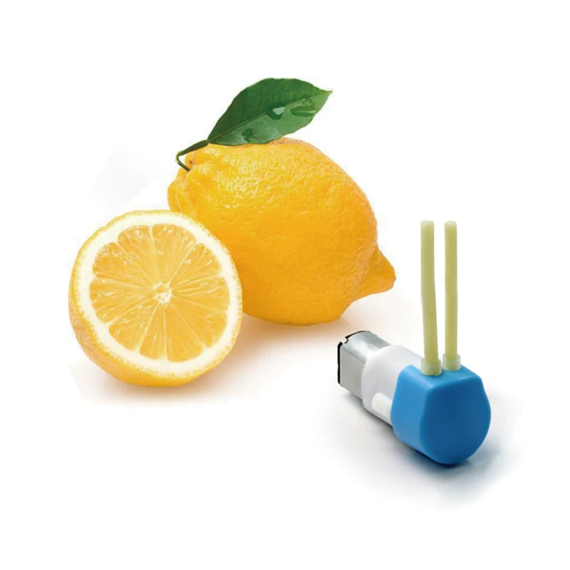 Lead Fluid WX09 Micro Peristaltic Pump