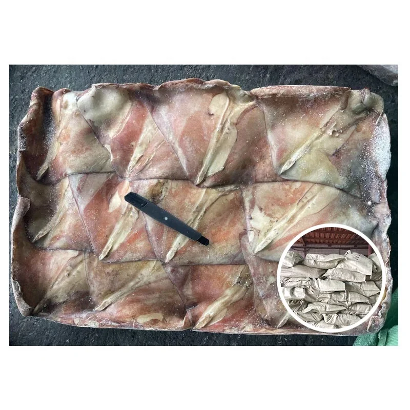 Good Quality Seafrozen Raw Material 1000-2000g Frozen Equator Squid Wing