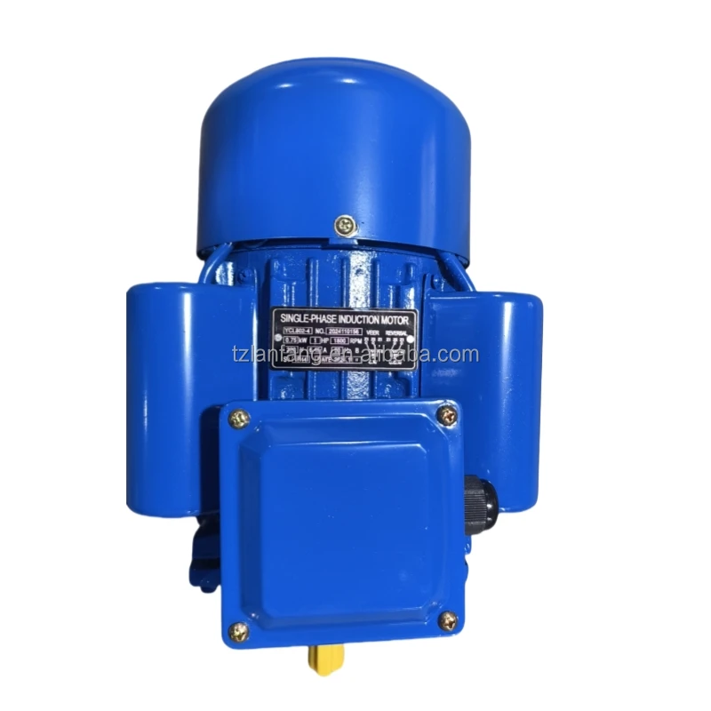 Ac Synchronous Motor single phase double capacytior 0.55kw 0.75hp 120V/220V  cast iron ac electric induction motor