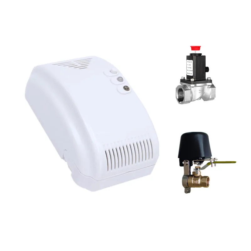Kitchen Safety AC110/220V OEM Customized Standalone Home Methane Gas Sensor