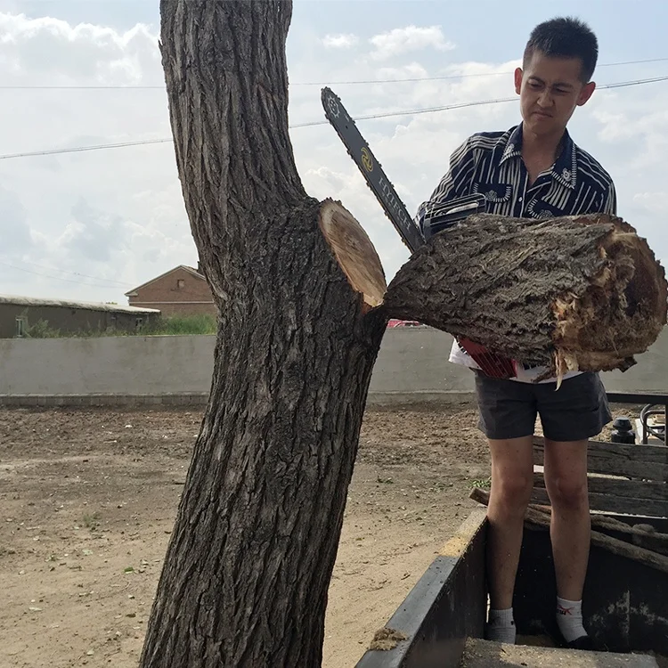 5200 with best price high quality mini petrol chainsaw wood cutter tree branch cutter machine 2 stroke gasoline chain saw