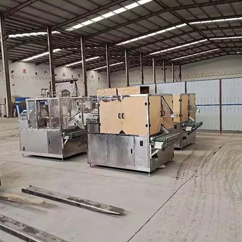 quality assurance Dolma rolling and packing device Grape leaf rice roll production line