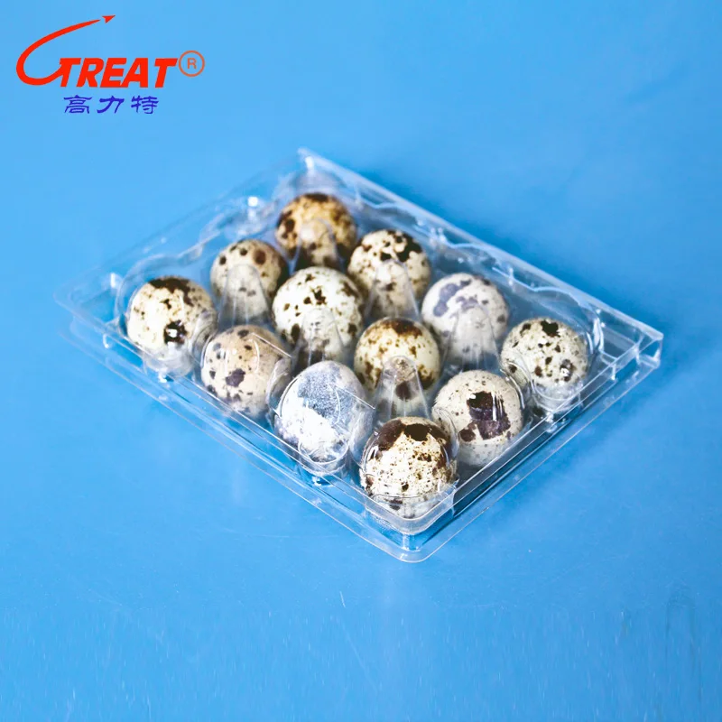 China manufacturing PET clamshell Egg tray box packaging disposable plastic