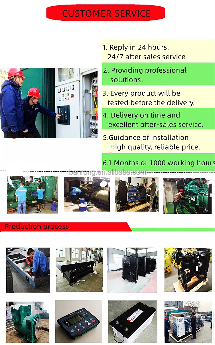Diesel Generator (3)