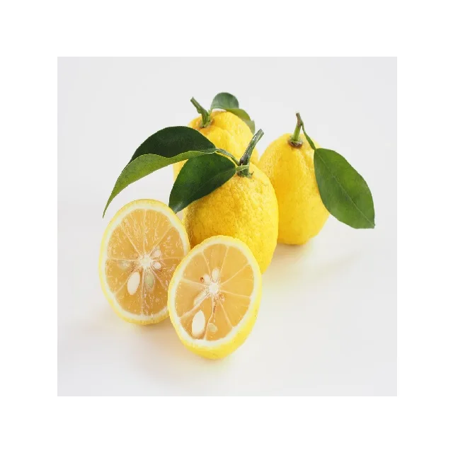 Oem Wholesale Soya Sauce Non-gmo Naturally Brewed Fermented Superior Dark Soy Sauce EN Yuzu Chammat Sauce