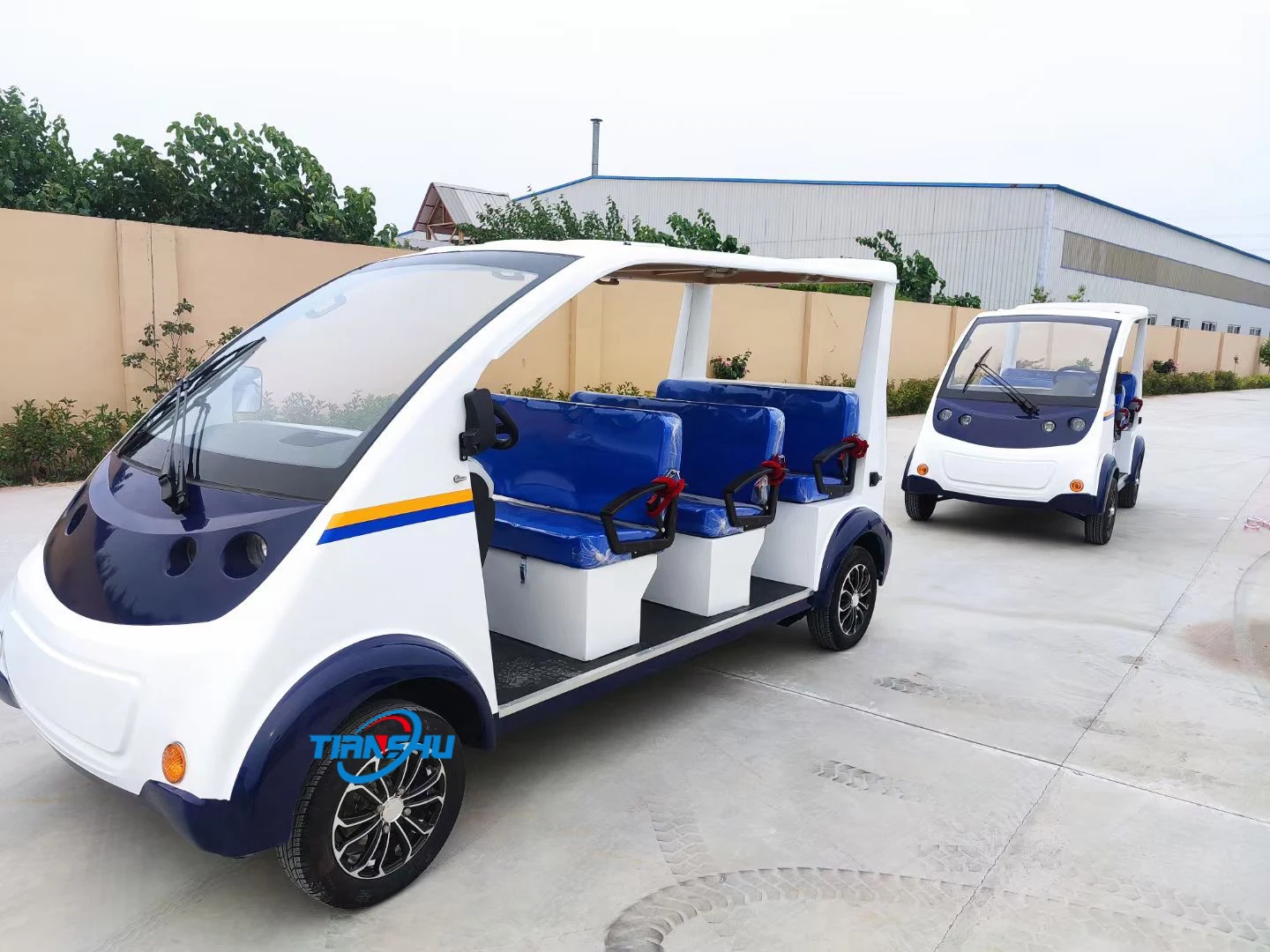 Элитный Электрический патрульный автомобиль 2 + места
