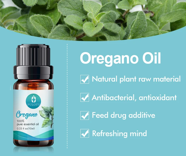 Top grade oregano essential oil wholesale CAS 8007-11-2 oil of oregano private label animal feed additive natural oregano oil