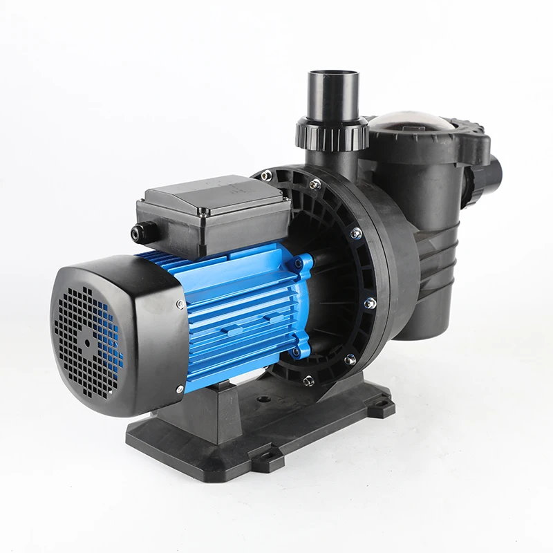 RAS volume High Pressure steel brushless 1HP dosing water circulation Stainless Steel heater hot filter dc Swimming Pool Pump