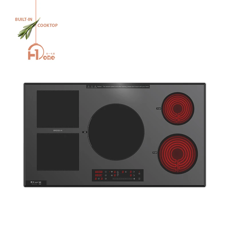 Kitchen Appliances Hybrid 5 Burner Infrared Electric Stove Induction Cooker Heat stove Built-in electric