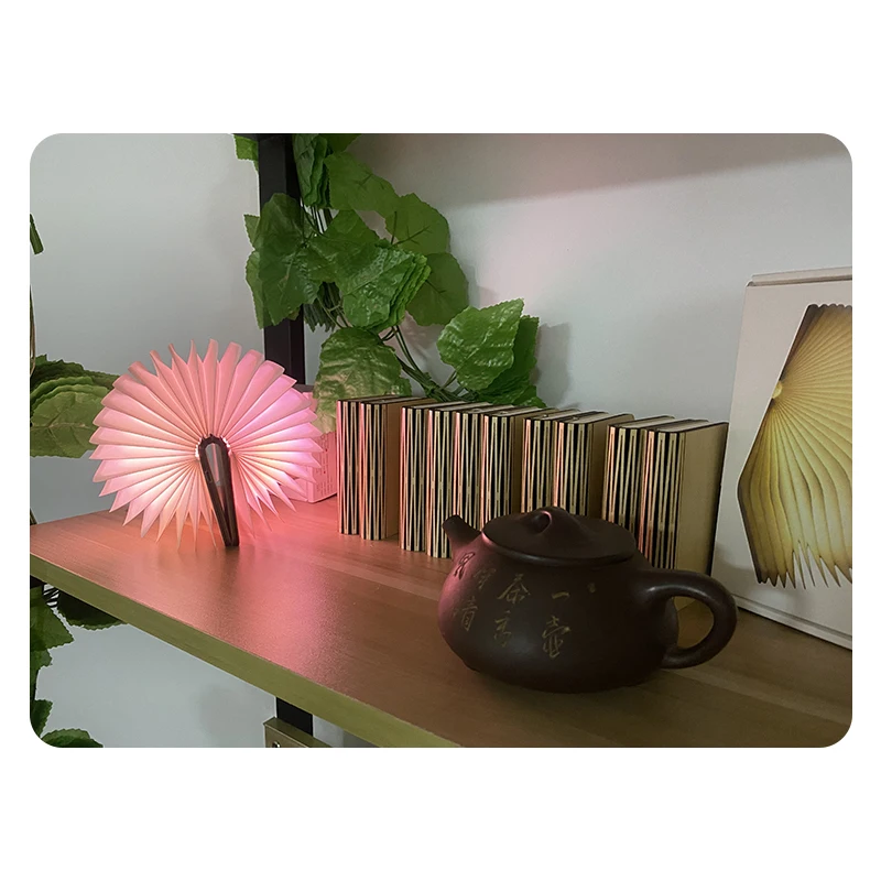 Customized Mini Design Vintage Change Color Wooden Shell LED Book Lamp Light