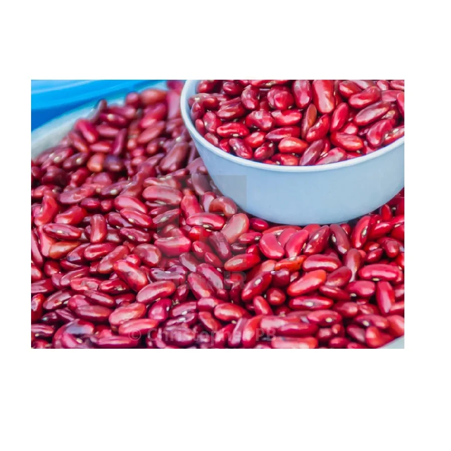 Non-GMO High Grade Natural Bulk Dried Red Beans from Uzbekistan Dry Tomato Red Kidney Beans for Food